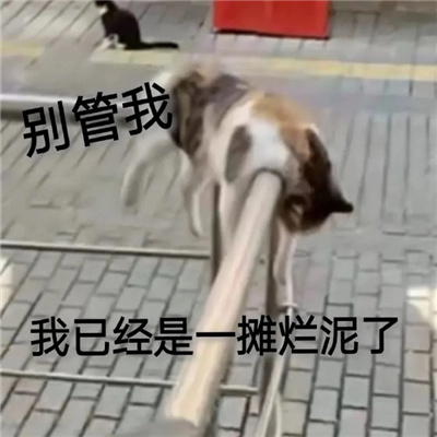 2024最新版摆烂搞怪表情 总有人要当废物那为什么不能是我了