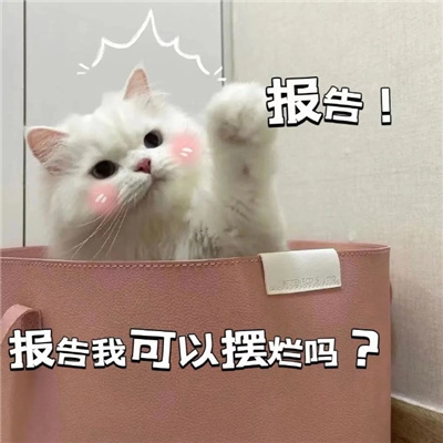 2024最新版摆烂搞怪表情 总有人要当废物那为什么不能是我了