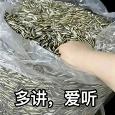 2024搞怪十分可爱的表情 谁是傻b我不说