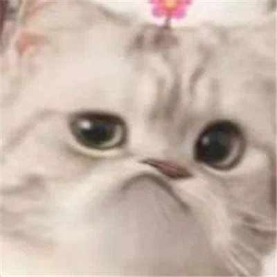 撩到男朋友脸红的表情可爱 我好累想要哥哥抱着睡