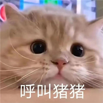 撩到男朋友脸红的表情可爱 我好累想要哥哥抱着睡