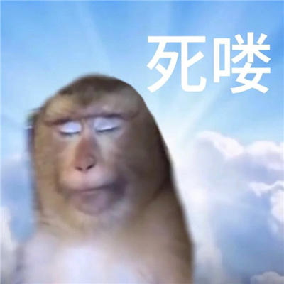 年度好用有病表情包 癫狂好用表情合集