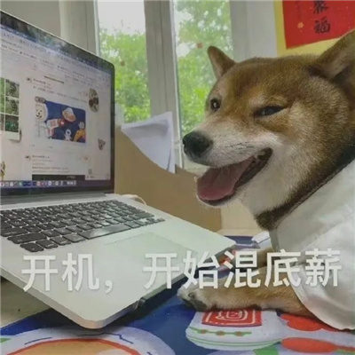 搞怪系列超可爱沙雕表情 头好痒啊好像要长脑子了