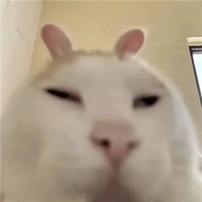 超级开心表情包可爱 用起来开心到起飞的表情2024