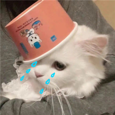 2024最新版有趣好玩万能表情 快乐多多很逗比的表情合集