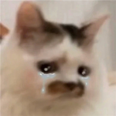 可爱表情张张活泼且有趣 2024非常调皮的表情合集