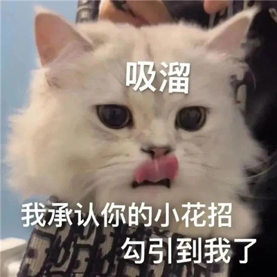 2024情侣聊天表情暧昧超有爱意 撩的对方心痒的表情大全