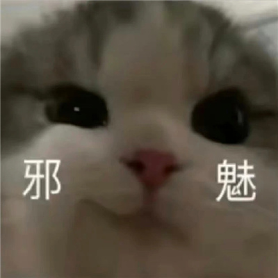 2024情侣聊天表情暧昧超有爱意 撩的对方心痒的表情大全