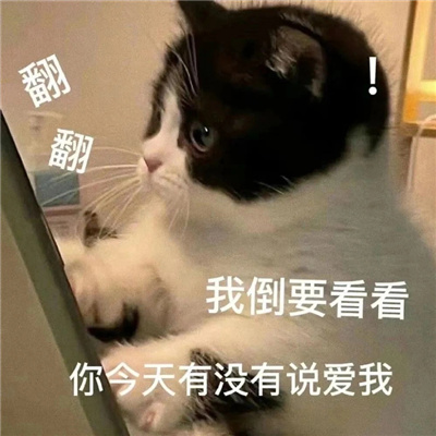 2024情侣聊天表情暧昧超有爱意 撩的对方心痒的表情大全