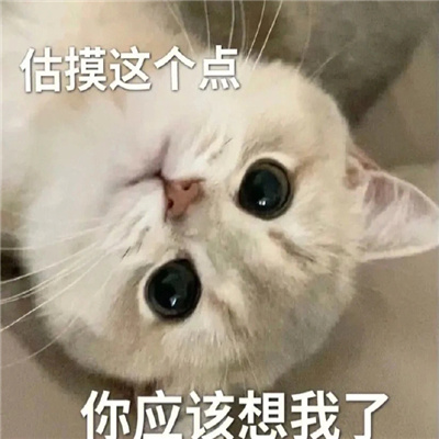 2024情侣聊天表情暧昧超有爱意 撩的对方心痒的表情大全