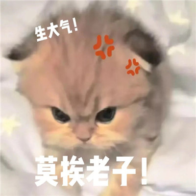 2024发给对象的表情很萌 给对象撒娇爆好用表情合集