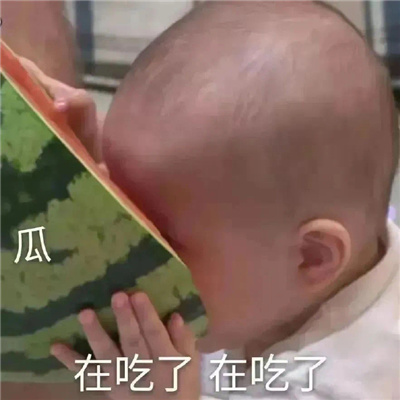 一秒笑喷的可爱沙雕表情合集 收狗收不听话的狗