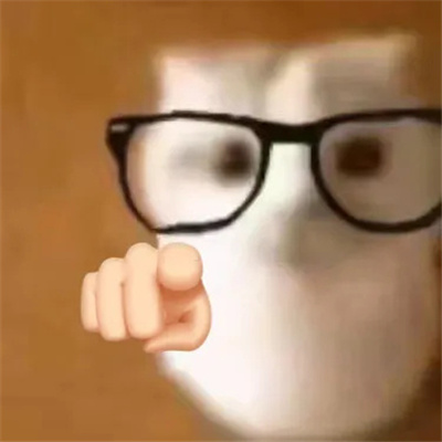 2024可爱眼镜猫高糊表情包 一定要存的好用猫猫表情大全