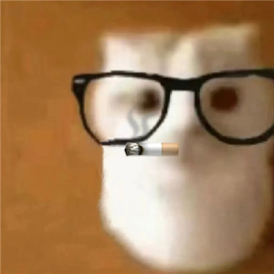 2024可爱眼镜猫高糊表情包 一定要存的好用猫猫表情大全