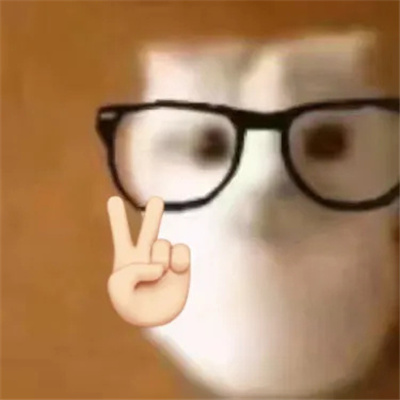 2024可爱眼镜猫高糊表情包 一定要存的好用猫猫表情大全