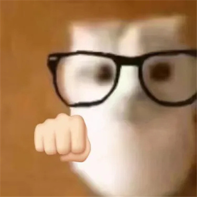 2024可爱眼镜猫高糊表情包 一定要存的好用猫猫表情大全