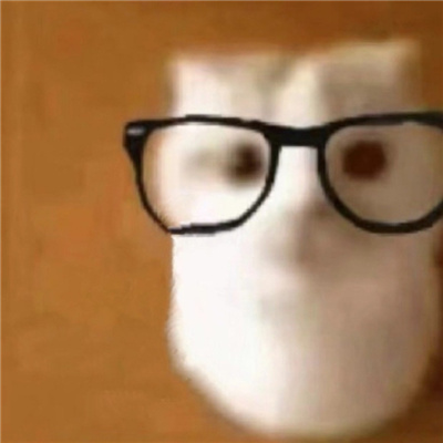 2024可爱眼镜猫高糊表情包 一定要存的好用猫猫表情大全