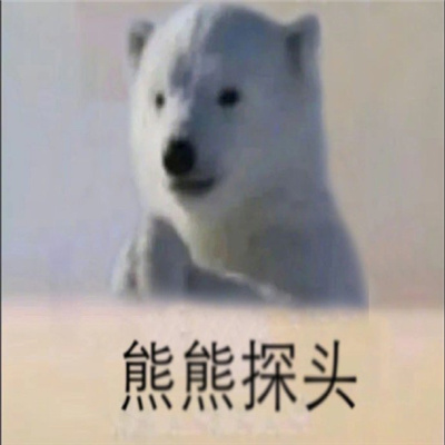 小动物探头表情最新合集 吗喽探头