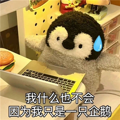 比较嗨的表情可爱感爆棚 我什么都不会因为我只是一只企鹅