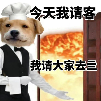 近期常用的可爱感爆棚表情包 今天我请客请大家去��