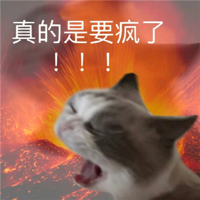 巨巨巨可爱的表情大全 我那么可爱错了又怎样