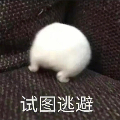 巨巨巨可爱的表情大全 我那么可爱错了又怎样