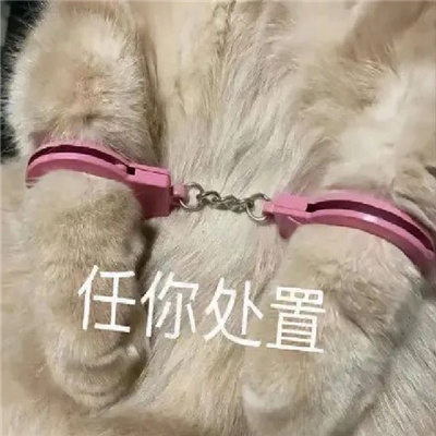 发给男朋友的撒娇表情大全 撒娇卖萌的可爱表情合集