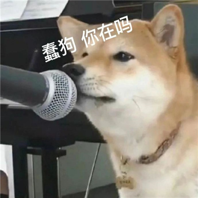 发给男朋友的撒娇表情大全 撒娇卖萌的可爱表情合集