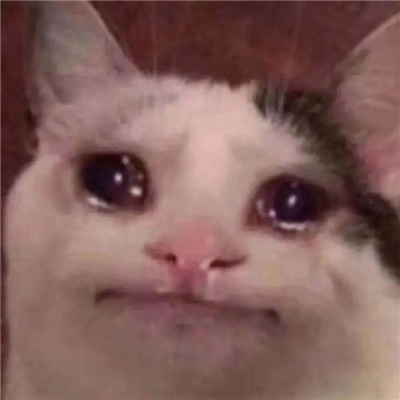 2024哭泣猫猫表情无水印合集 委屈流泪的猫咪表情合集