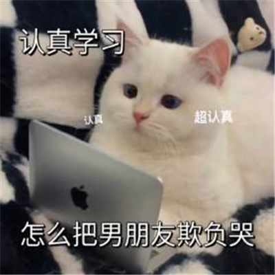 恋爱综合微信实用表情包 好可爱好喜欢的表情合集