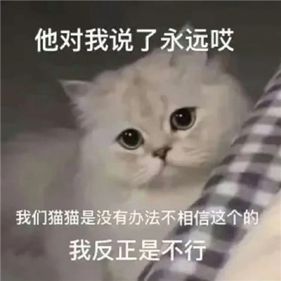 恋爱综合微信实用表情包 好可爱好喜欢的表情合集