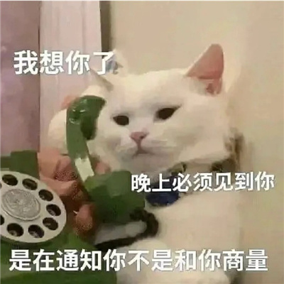 恋爱综合微信实用表情包 好可爱好喜欢的表情合集