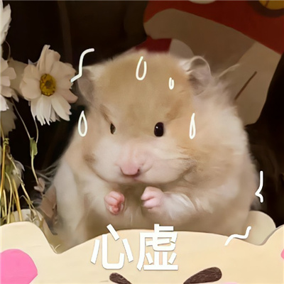 好用有趣好玩的表情包 最近有什么乐子我亲爱的八卦搭子