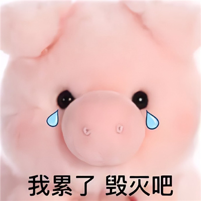 好用有趣好玩的表情包 最近有什么乐子我亲爱的八卦搭子