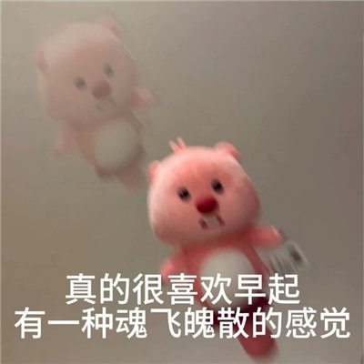 高情商的有梗趣味表情 宝宝我感觉我们有点暧昧了