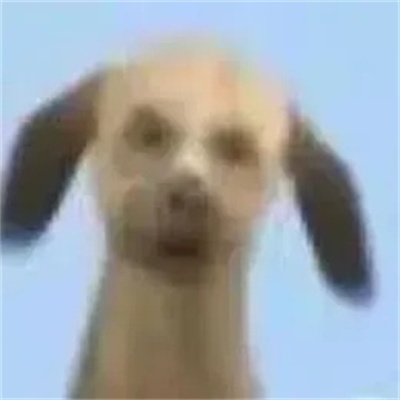 实用表情2024很快乐 会让我们变的超开心的表情大全