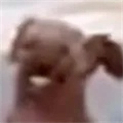 实用表情2024很快乐 会让我们变的超开心的表情大全