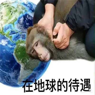 新鲜表情包很特别又好用 得不到的东西就用脚踹远些