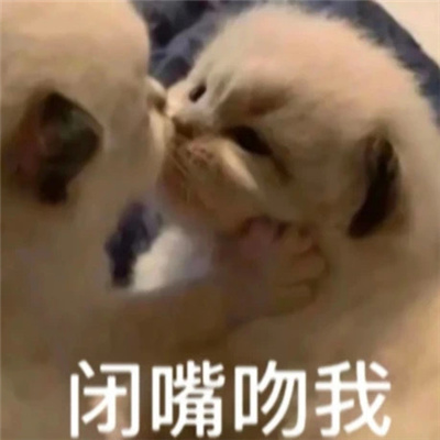 嘎嘎有趣的表情包 最喜欢看你讨厌我又干不掉我