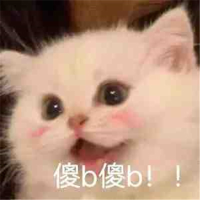 快乐聊天的特别表情高情商 我搞不懂镜子里怎么会有个小靓仔