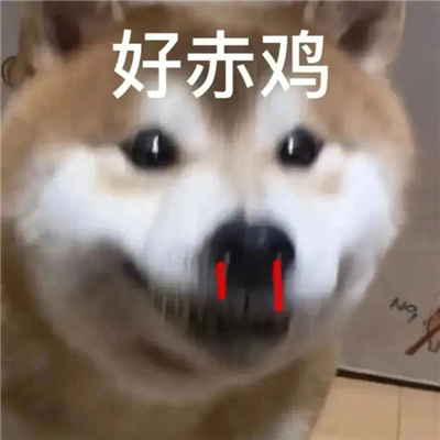 在互联网用的表情搞笑 2024互联网上的精彩表情大全