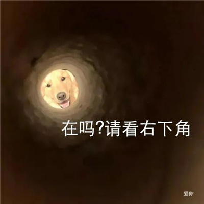 新鲜出炉沙雕系的表情有特色 谢谢你吐出来舒服多了