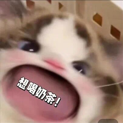 2024趣味大嘴猫表情合集 我不管我就要