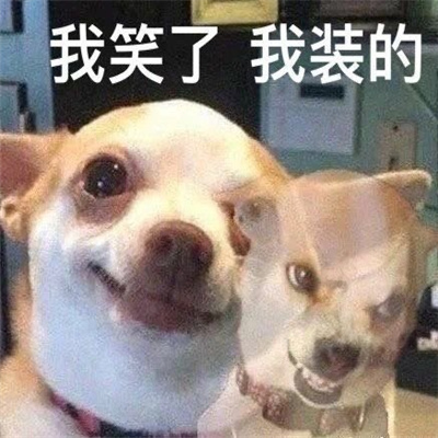 表情实用日常又沙雕 天上什么时候掉馅饼啊