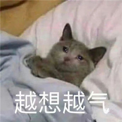 聊天必备表情搞怪大全 还有这种好事