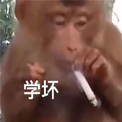 聊天必备表情搞怪大全 还有这种好事