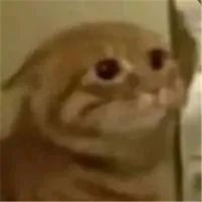 年度爱用无字表情包 情绪饱满的好用表情合集