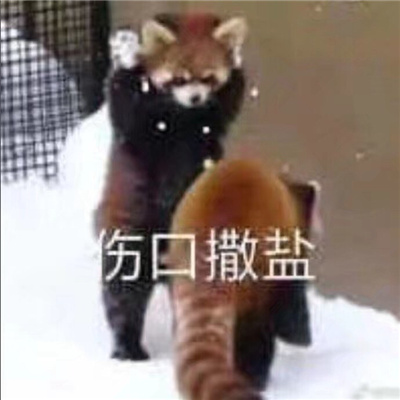 2024快乐表情张张都很嗨合集 谢谢有被笑到