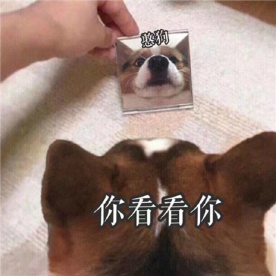 2024快乐表情张张都很嗨合集 谢谢有被笑到