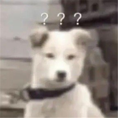 2024问号小狗表情包合集 一定要存图的好用聊天表情